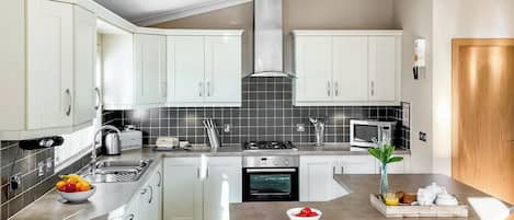 Fridge, oven, stovetop, toaster