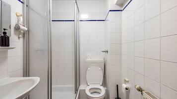 Une salle de bain équipée d’une douche, de toilettes, d’un lavabo et d’un miroir.