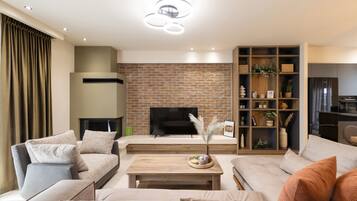 Smart TV, fireplace, books