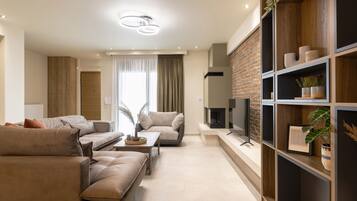 Smart TV, fireplace, books