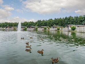 A lake with ducks, a fountain, and wooden cabins. - Pine Lodge Spa (Thirsk)
