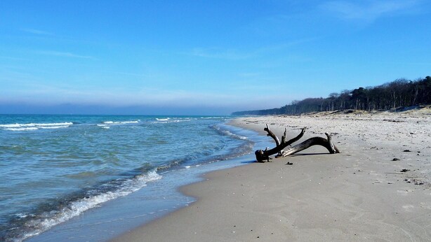 A beach with a clear sky, calm sea, and a fallen tree on the sand. - A Cozy Getaway in the Countryside — 2 Bedrooms & a Fireplace (Pruchten)