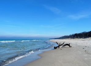 A beach with a clear sky, calm sea, and a fallen tree on the sand. - Bungalow in a Green Setting—with a Fireplace and 2 Terraces (Pruchten)
