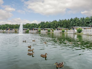 Un lac avec des canards, une fontaine et des cabanes en bois.