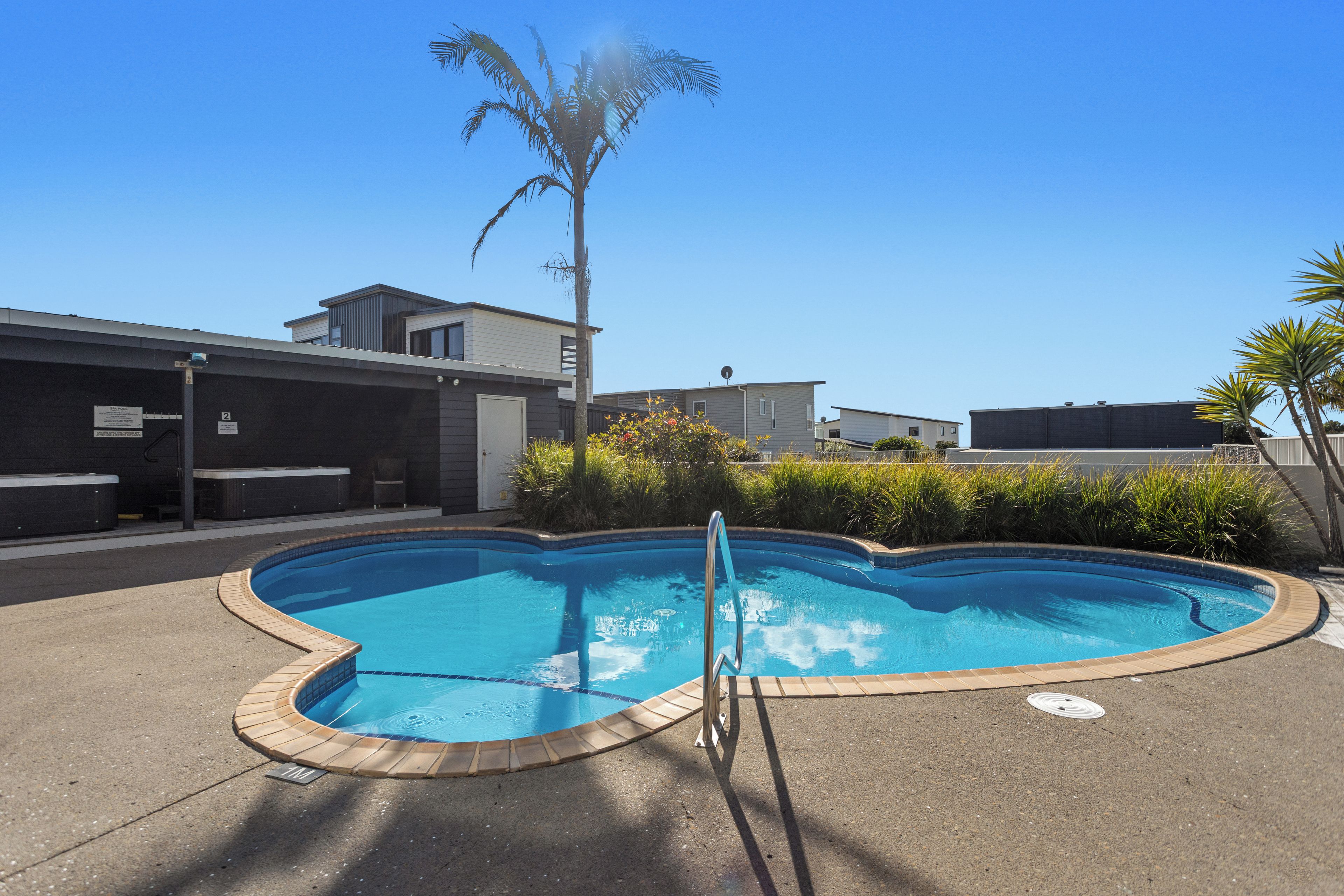 A swimming pool with a palm tree and a building in the background.