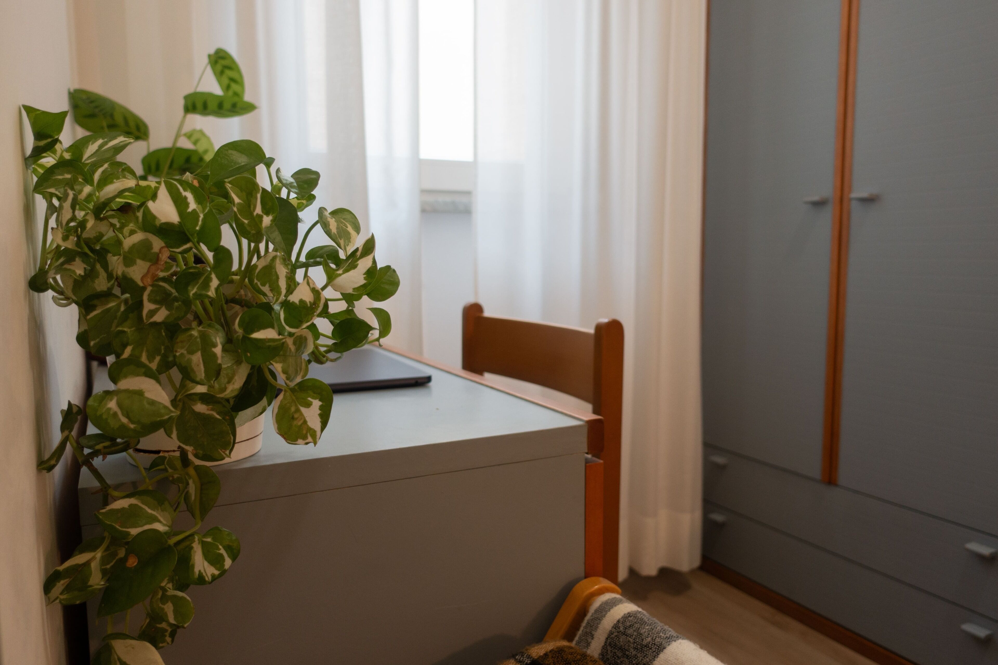 Classic Single Room, Non Smoking, Pets Allowed | Interior