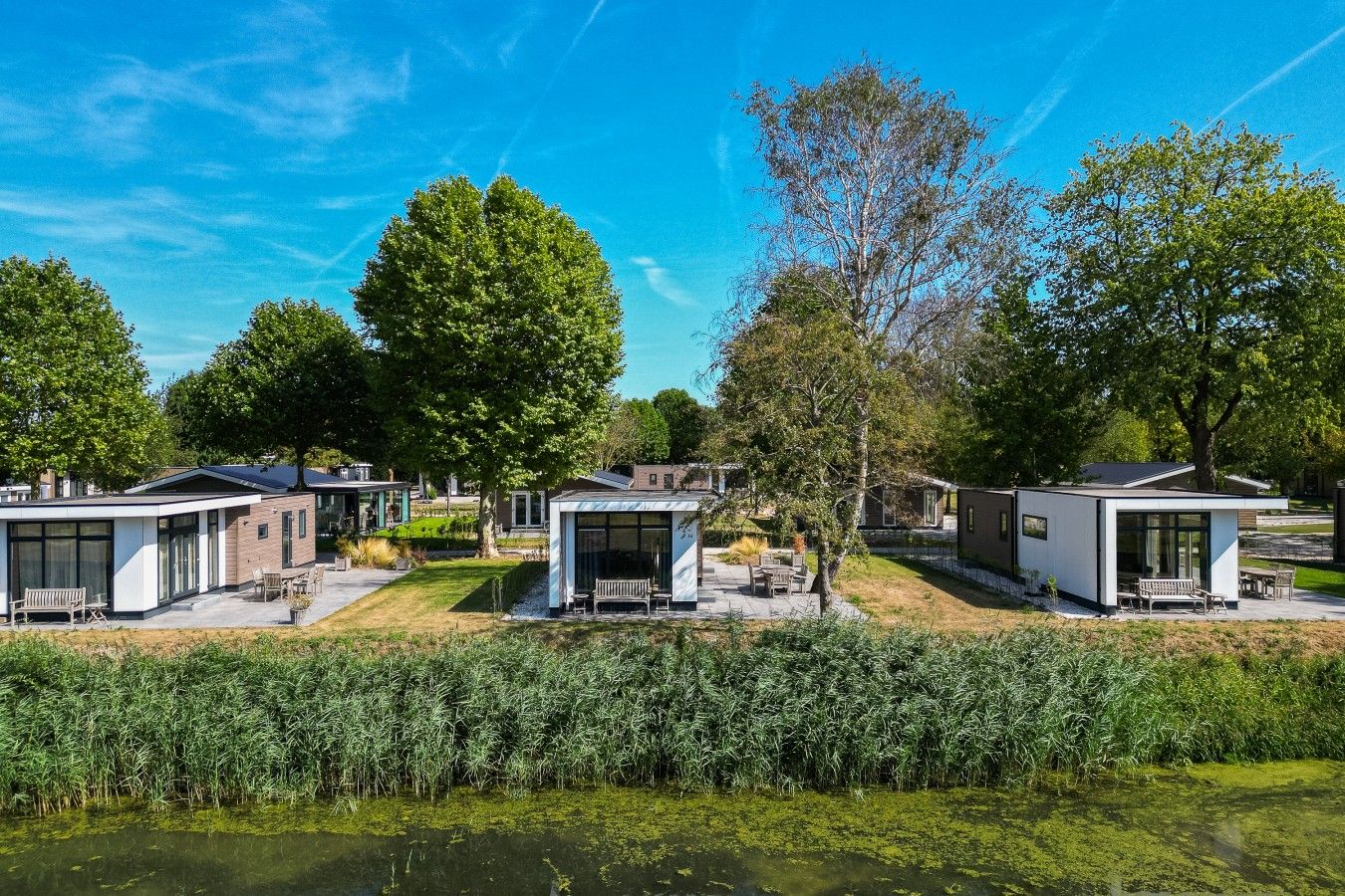 A row of modern, single-story cabins with large windows, surrounded by lush greenery and a calm water body.