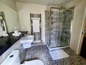 Ducha, secador de pelo, toallas y papel higiénico