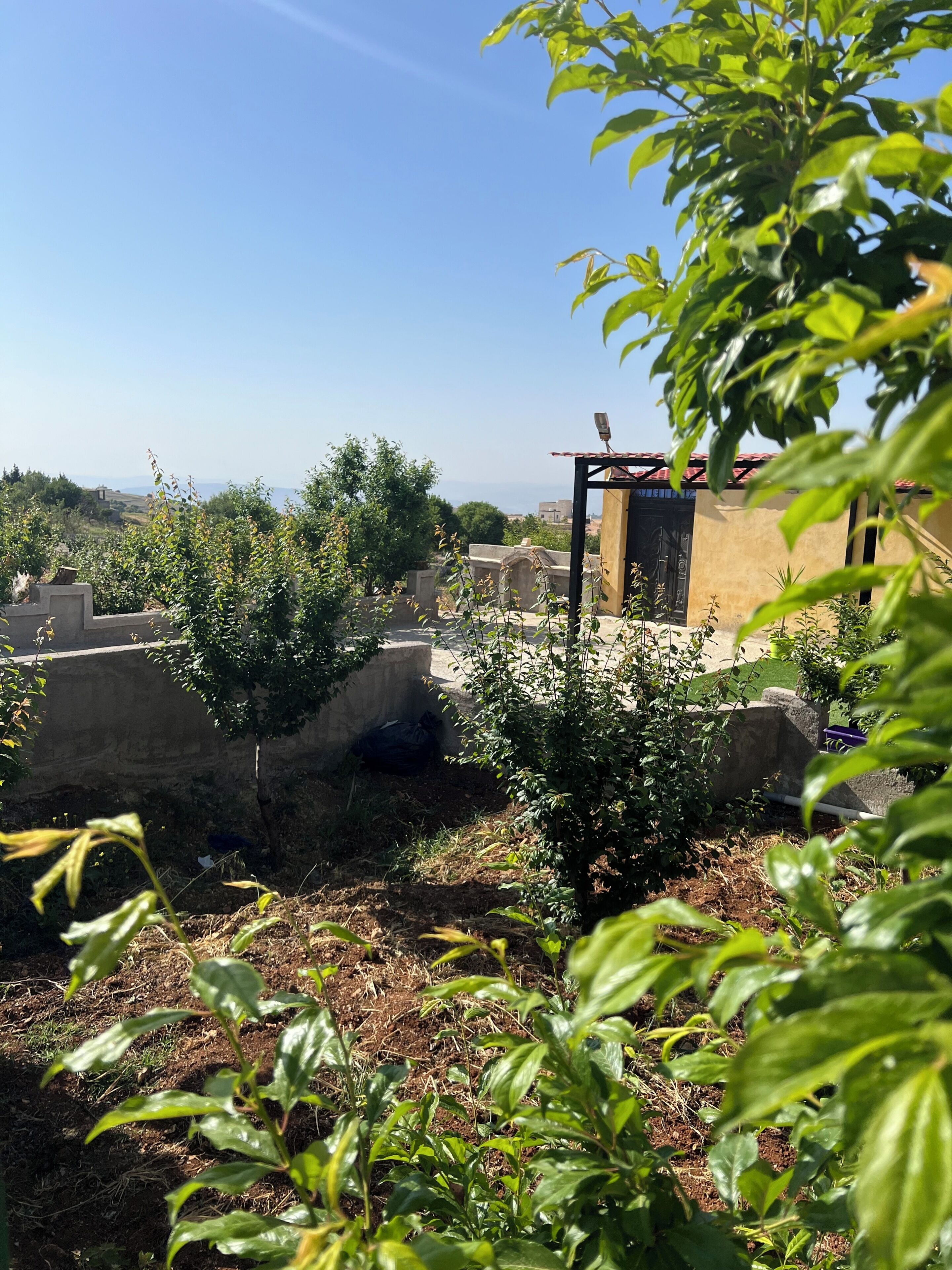 Chalet, balkon, uitzicht op tuin | Terrein van de accommodatie