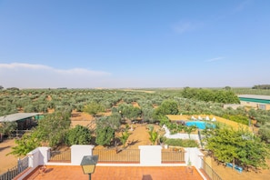 Ein Wohnhaus mit Pool, Olivenhainen und einer Terrassenanlage.