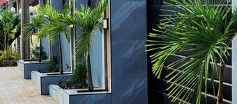 City Nest Apartment