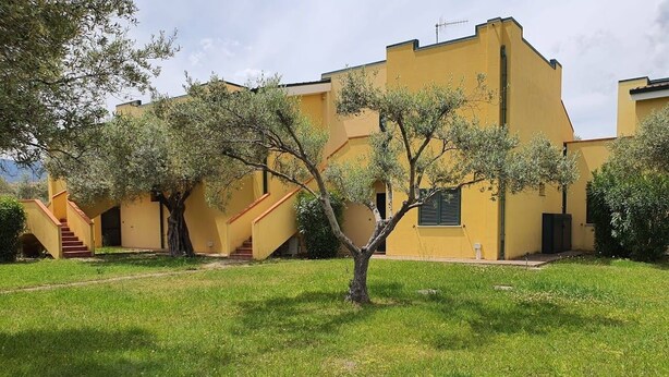 A yellow building with a staircase and a tree in the foreground. - Verde Mare Beach Houses (Contrada Taverna)