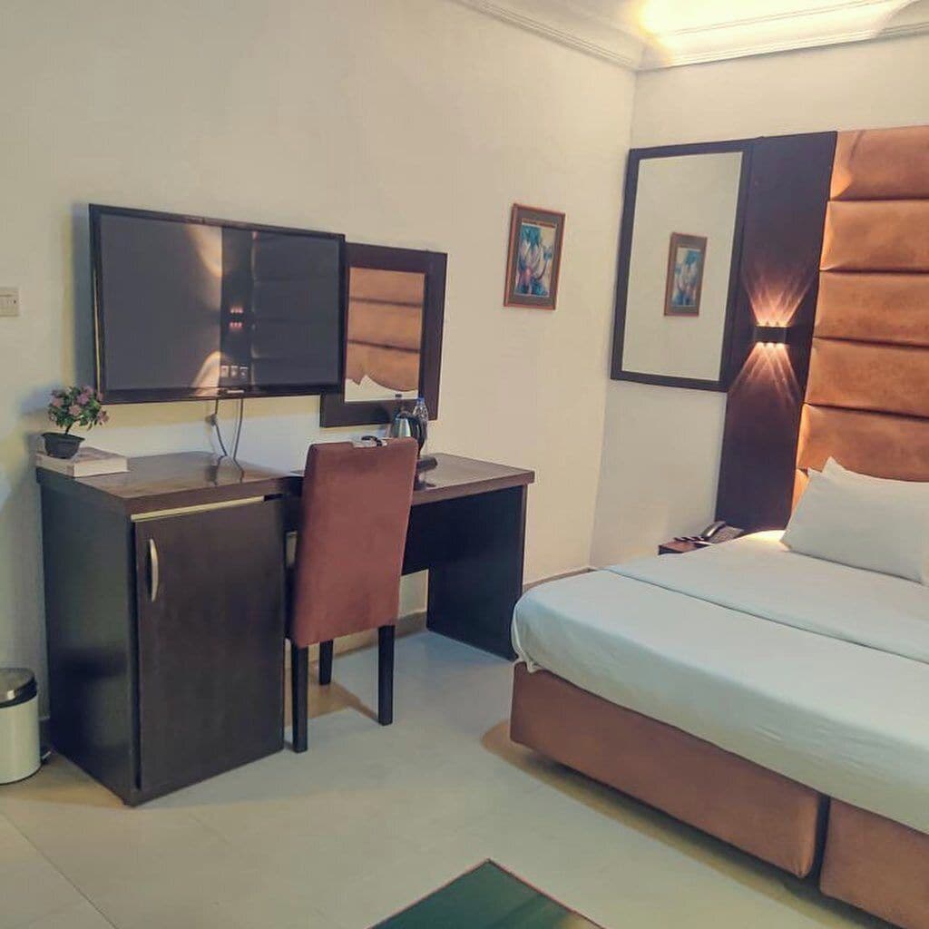 Habitación de hotel con cama, escritorio, silla, televisor, espejo y una pequeña mesa con una planta.