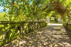 A pathway lined with trees and a stone wall, leading to a staircase. - De Vivo Realty - Villa Teresa (Piano di Sorrento)