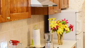 Fridge, stovetop, cookware/dishes/utensils