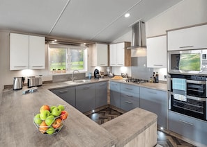 Fridge, oven, stovetop, toaster