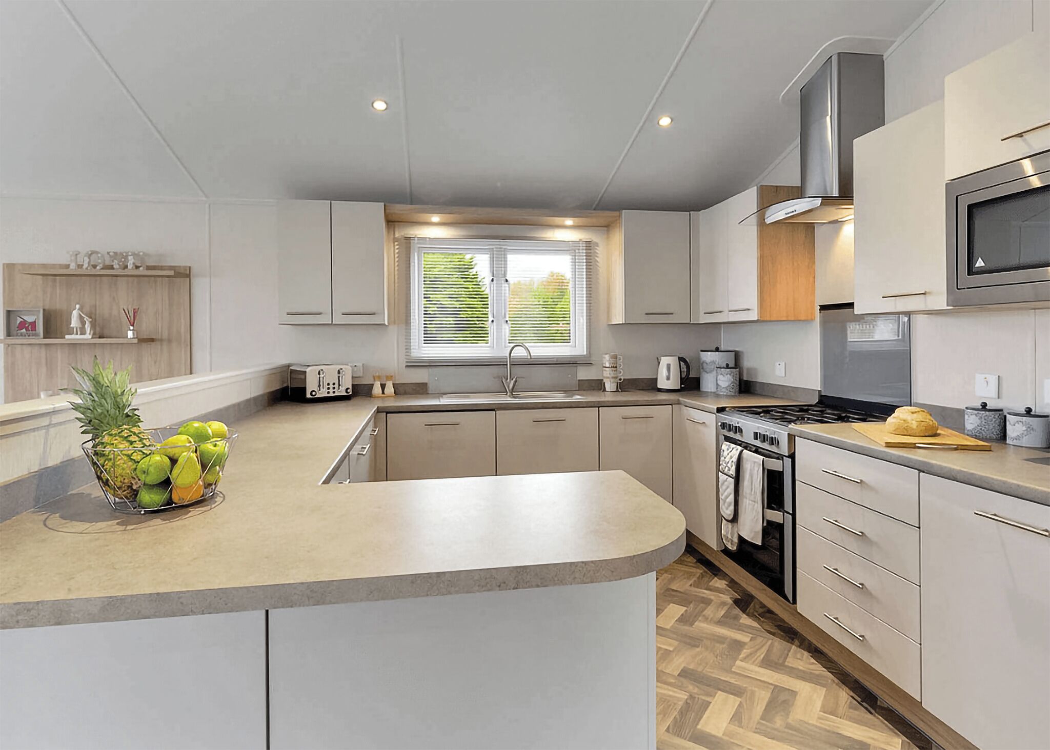 Fridge, oven, stovetop, toaster