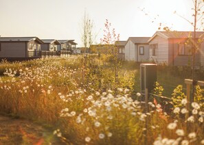 A row of modern houses with a grassy field in the foreground. - 1 bedroom accommodation in Padstow (Padstow)