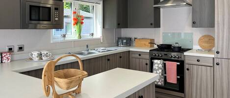 Fridge, oven, stovetop, toaster