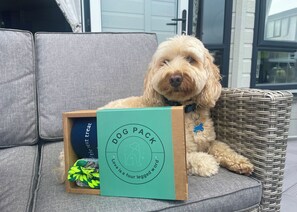 Pet-friendly