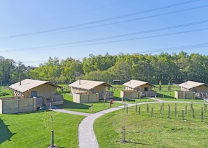 A row of small, single-story cabins with a paved walkway between them, surrounded by a grassy area and trees. - The Woody Safari Tent (Landford, Nr Salisbury)