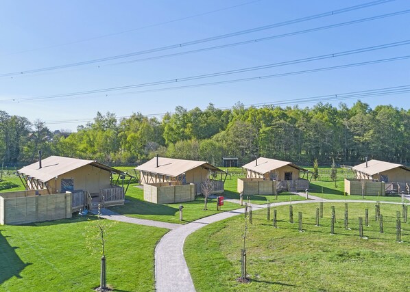 A row of small, single-story cabins with a paved walkway between them, surrounded by a grassy area and trees.