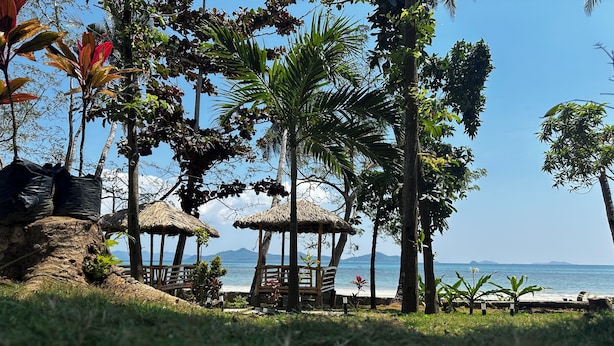 A beach with thatched huts, palm trees, and a view of the sea.