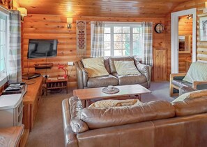 L’intérieur d’une cabane en rondins, avec un canapé en cuir, un téléviseur, une table en bois et une fenêtre avec des rideaux.