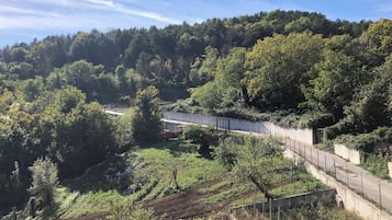 Una colina con un camino, una cerca y una construcción con una silla.