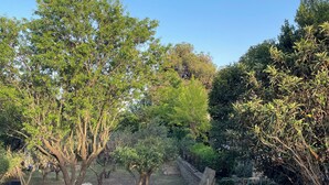A fenced outdoor area with trees and a stone wall. - Apartment near the sea and Montpellier (Pignan)