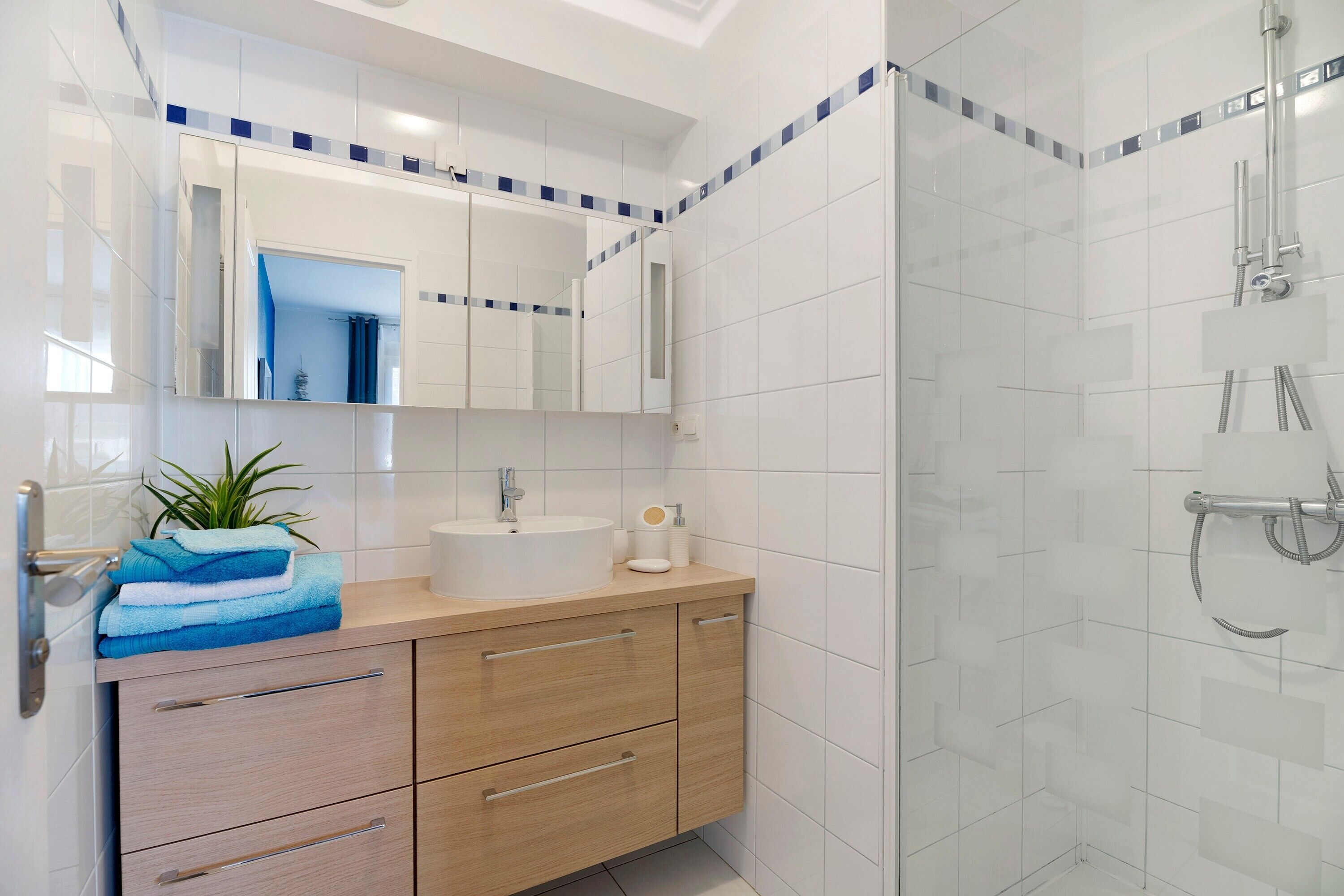 Shower, hair dryer, towels