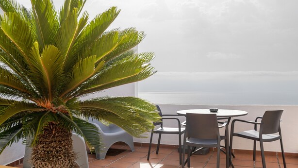 Una terraza con una palmera, una mesa redonda y cuatro sillas.