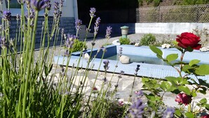 A garden with a small pool, surrounded by plants and flowers.