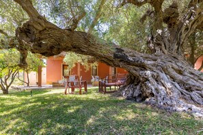 Terrace/patio - Omega Apartment with Shared Terrace, Wi-Fi and Air Conditioning (Punta Secca)