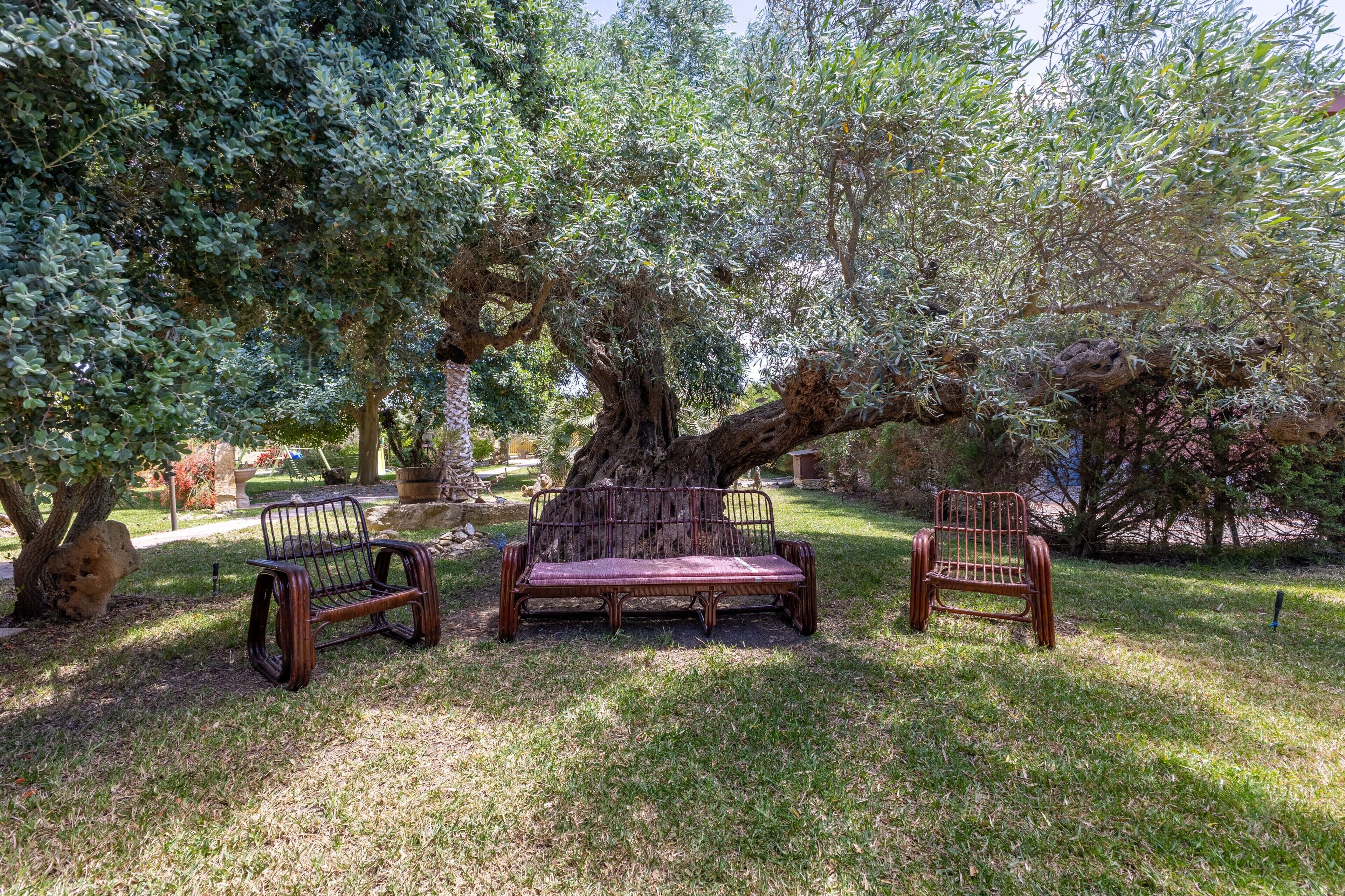 Parco della struttura