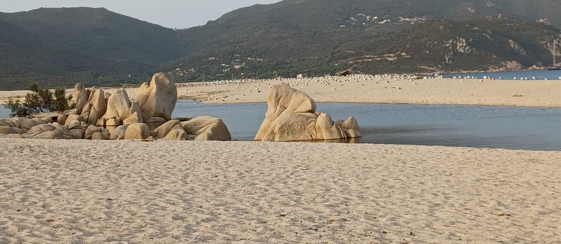 Vlak bij het strand