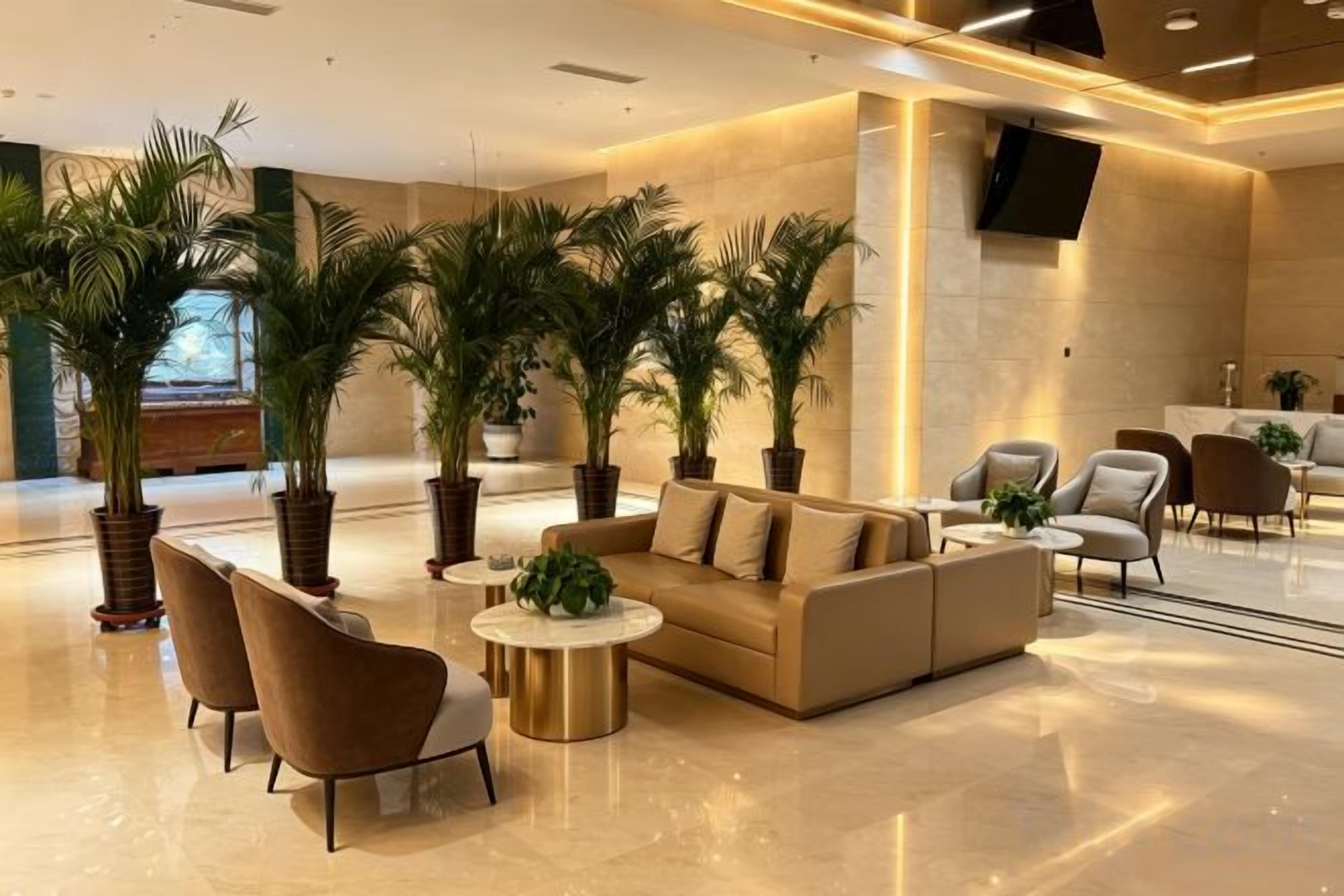 A modern lobby with a sofa, chairs, a coffee table, and potted plants.