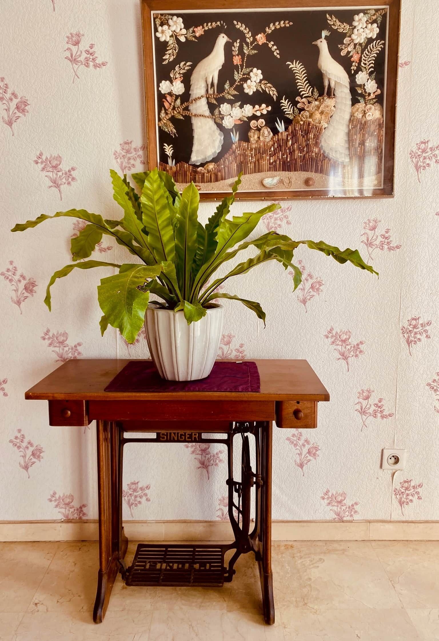 Un tavolo di legno con una pianta in vaso, un quadro appeso al muro e una macchina da cucire Singer.