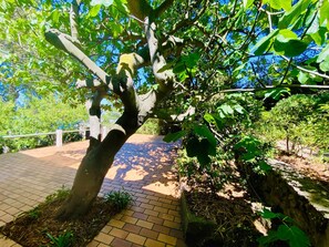 A tree-lined pathway with a brick surface, surrounded by greenery and a stone wall. - Villa St Clair with swimming pool (Sète)