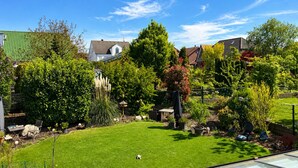 Un jardin bien entretenu, avec une pelouse, diverses plantes et un petit étang.