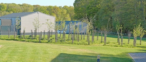 A building with a flat roof, surrounded by a fenced area with young trees.