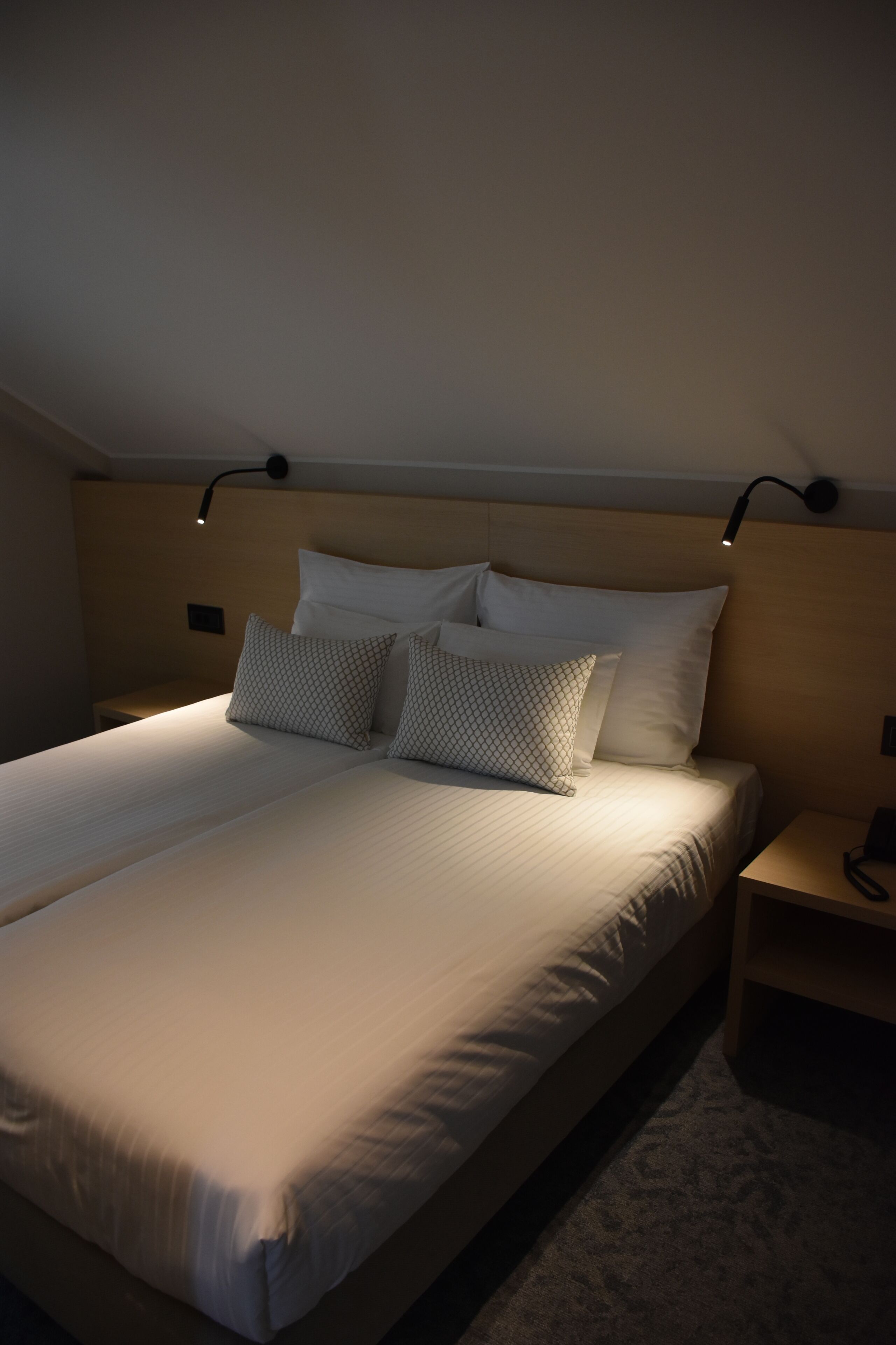 Deluxe Double or Twin Room, Shared Bathroom, Mountain View | In-room safe, desk, laptop workspace, blackout drapes