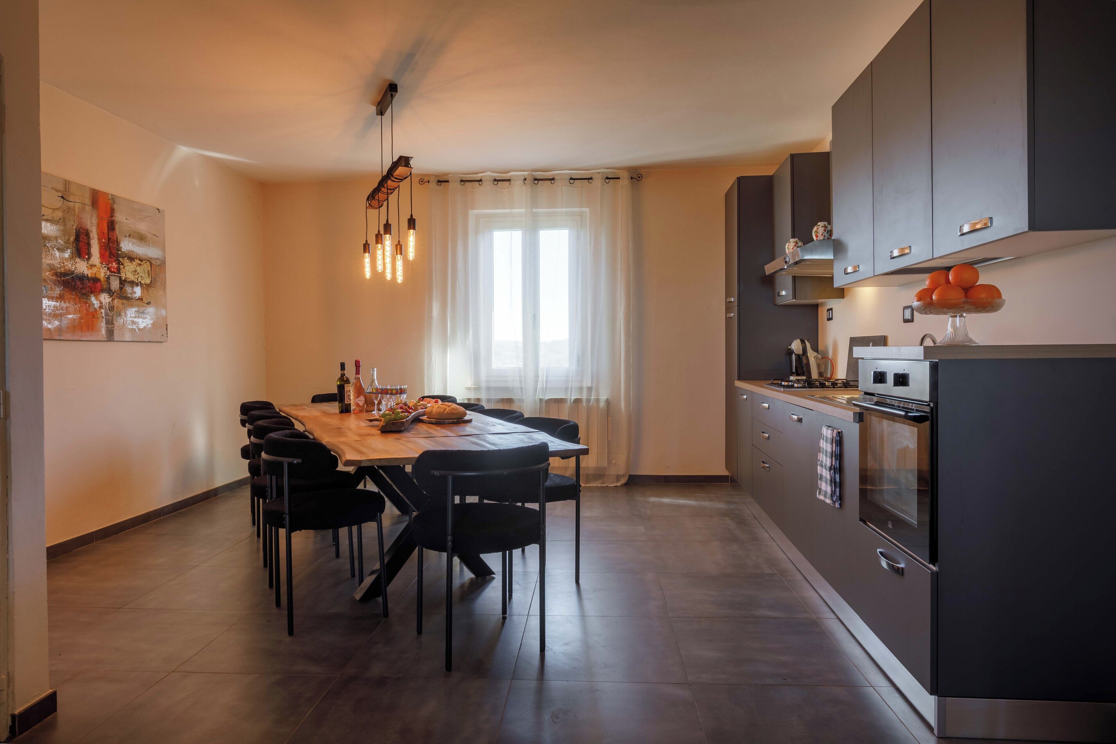 Oven, stovetop, dishwasher