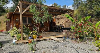 Cabin Sleeps 2 With Enclosed Garden