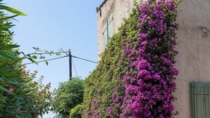 A narrow gravel path leading to a building with a green shutter, surrounded by lush greenery and purple flowering plants. - Les Sablettes Jardin & Parking 5 min de la Plage (La Seyne-sur-Mer)