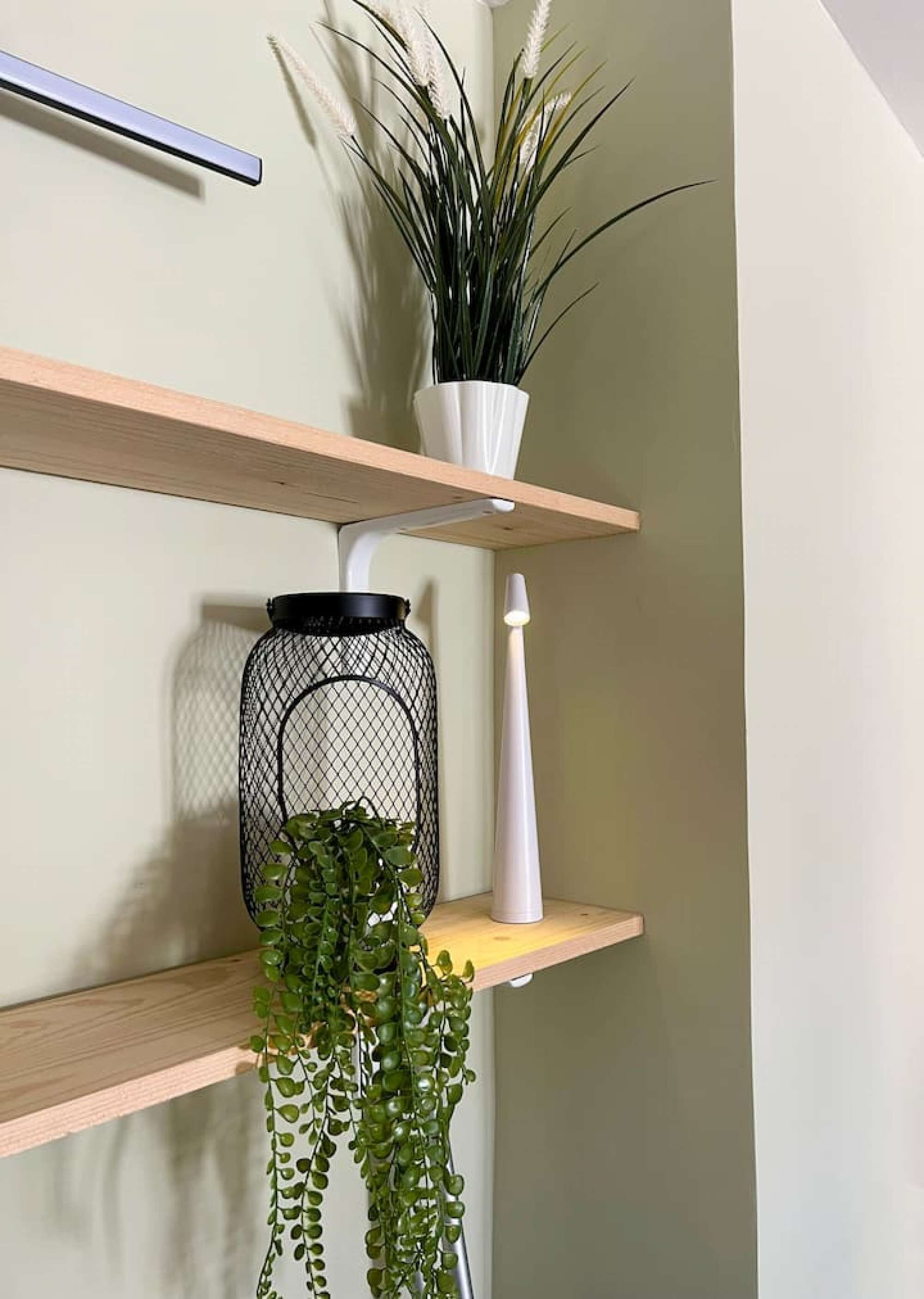 Uma prateleira na parede com uma planta em vaso, uma planta pendente e um vaso branco.