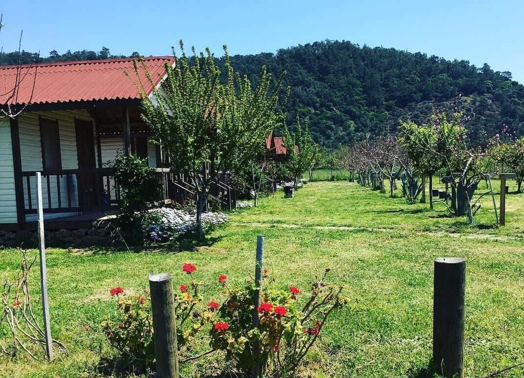 Bungalow, Garden View | Property grounds