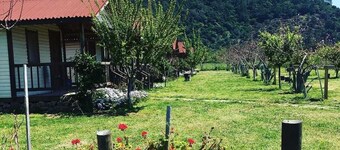 Fesleğenbükü Kamp