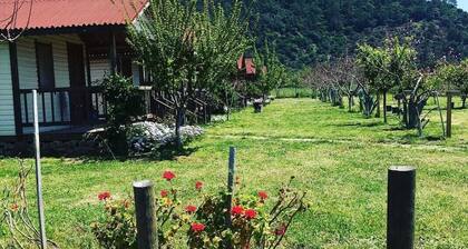 Fesleğenbükü Kamp