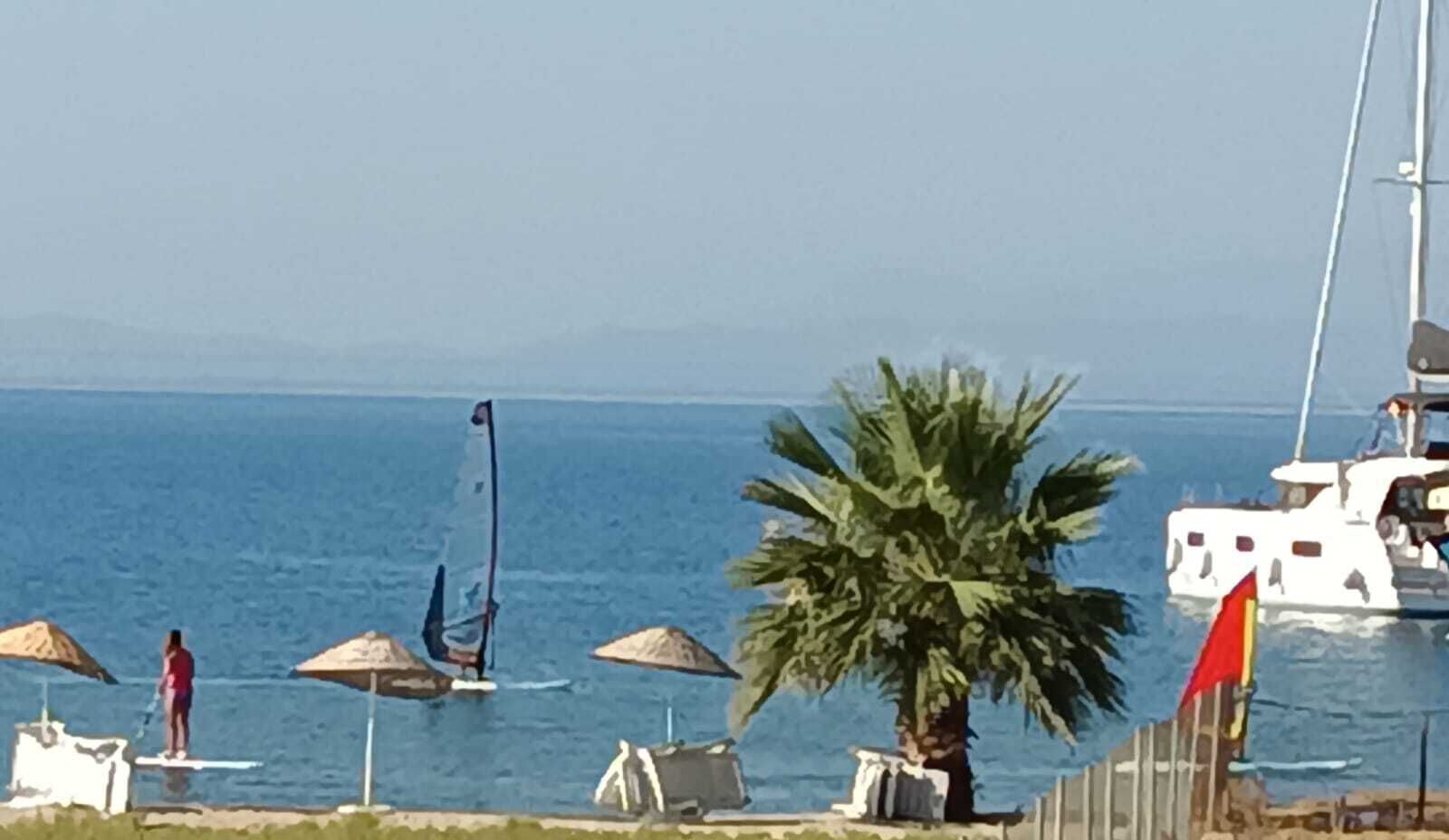 Eine Strandansicht mit Segelboot, Sonnenschirmen und einer Palme.